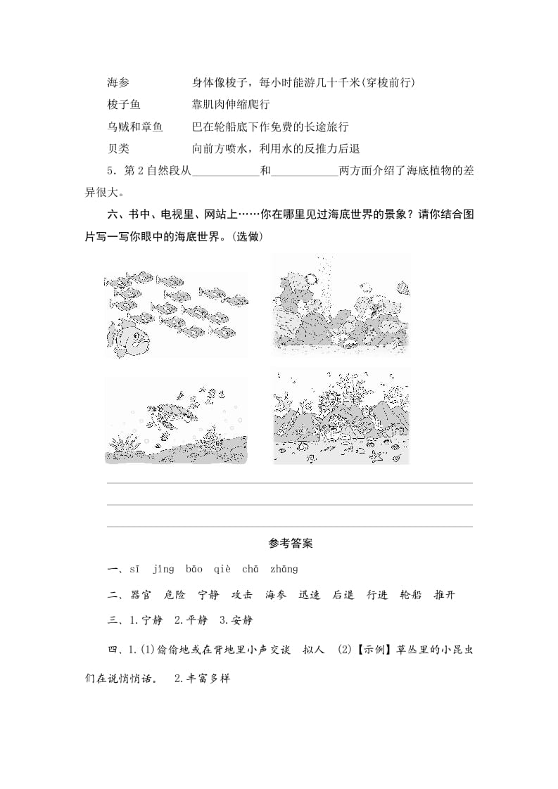 图片[3]-三年级语文下册23海底世界-学习资料站