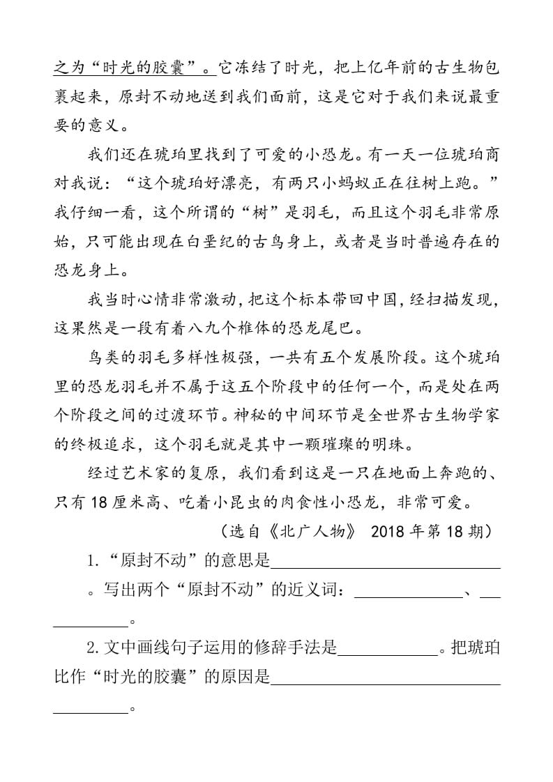 图片[3]-四年级语文下册类文阅读-5琥珀-学习资料站