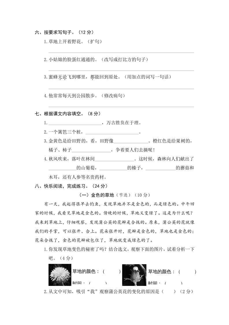 图片[2]-三年级语文上册期末练习(11)（部编版）-学习资料站