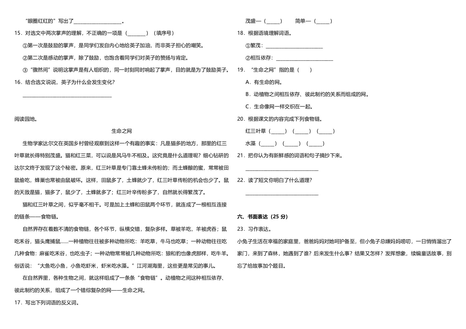图片[3]-三年级语文上册（期末测试题）版（部编版）-学习资料站