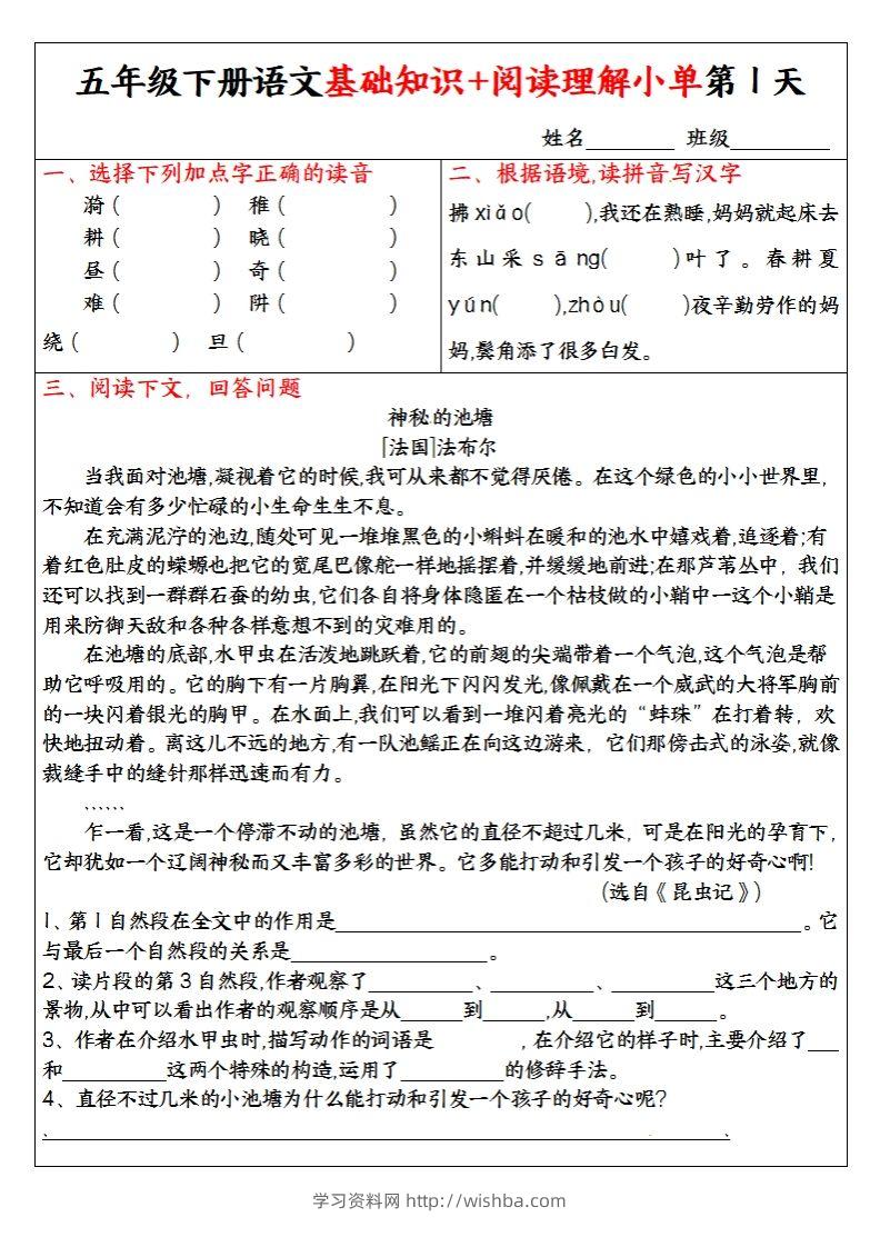 【基础知识+阅读理解小单】五下语文-学习资料站
