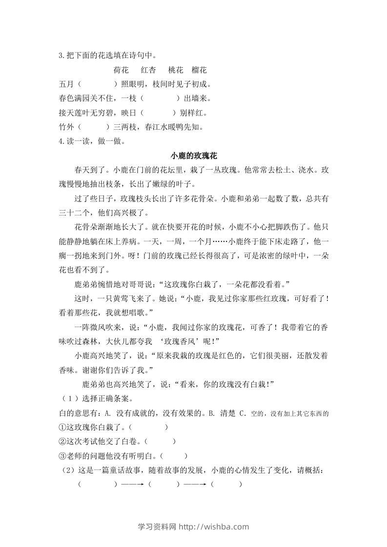 图片[2]-二下语文：第三课时练-学习资料站