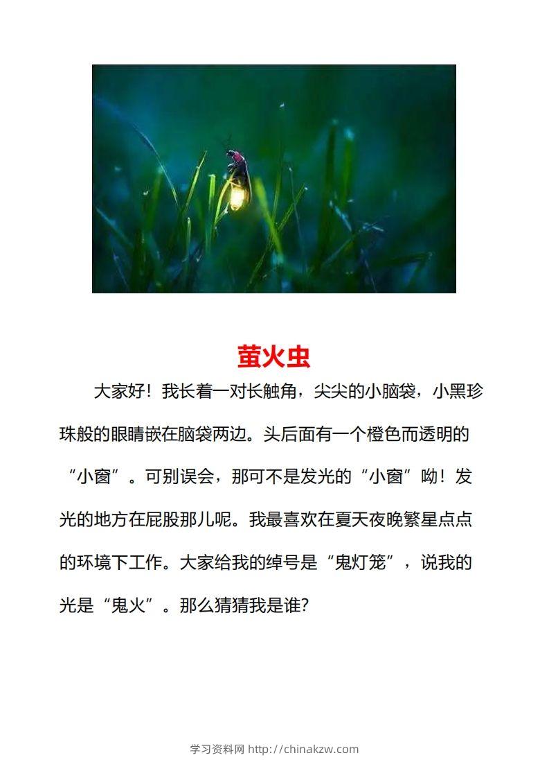 图片[3]-二年级上册语文口语交际一“有趣的动物”指导及范文-学习资料站
