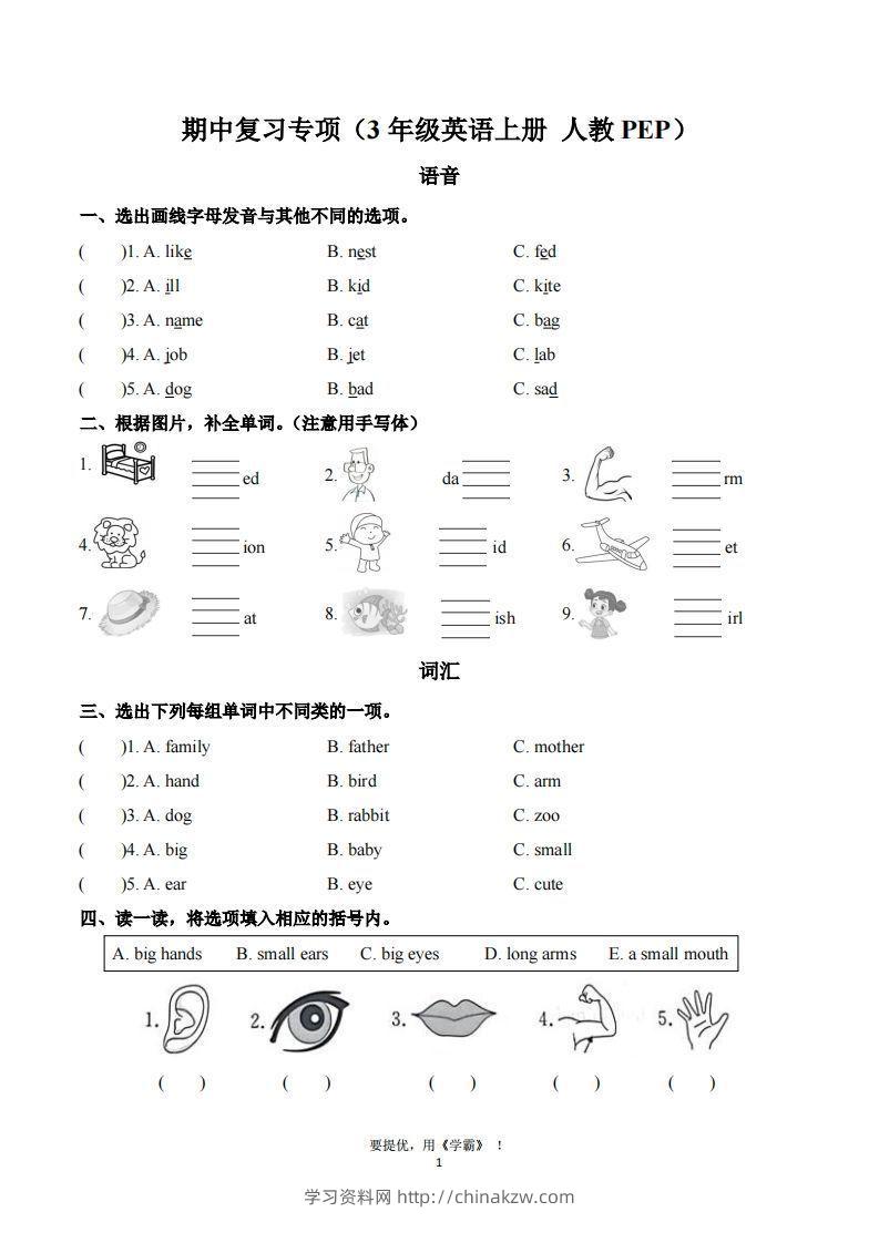 期中复习专项（三上英语人教版）-学习资料站