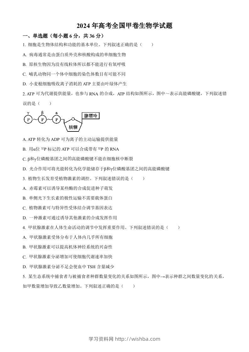 2024年高考生物试卷（全国甲卷）（空白卷）-学习资料站