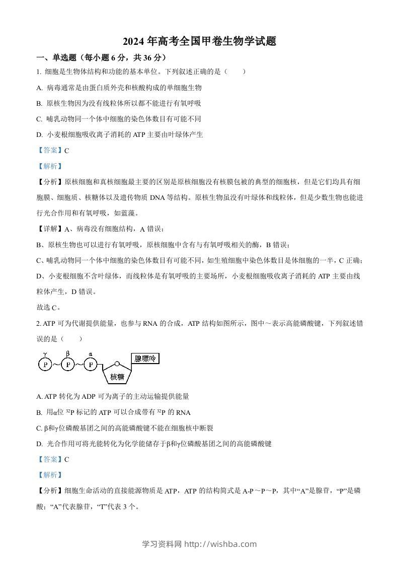 2024年高考生物试卷（全国甲卷）（含答案）-学习资料站