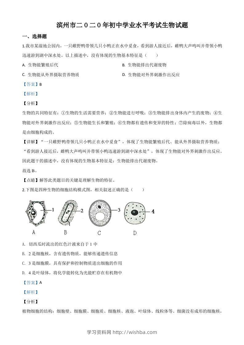山东省滨州市2020年中考生物试题（含答案）-学习资料站