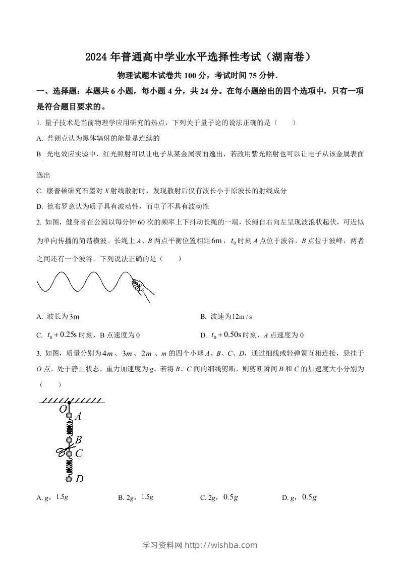 2024年高考物理试卷（湖南）（空白卷）-学习资料站