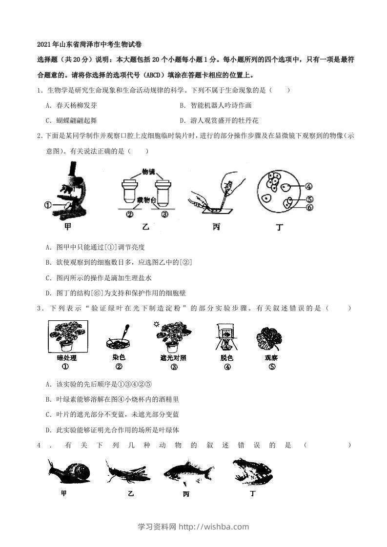 2021年山东省菏泽市中考生物真题（word，含答案）-学习资料站