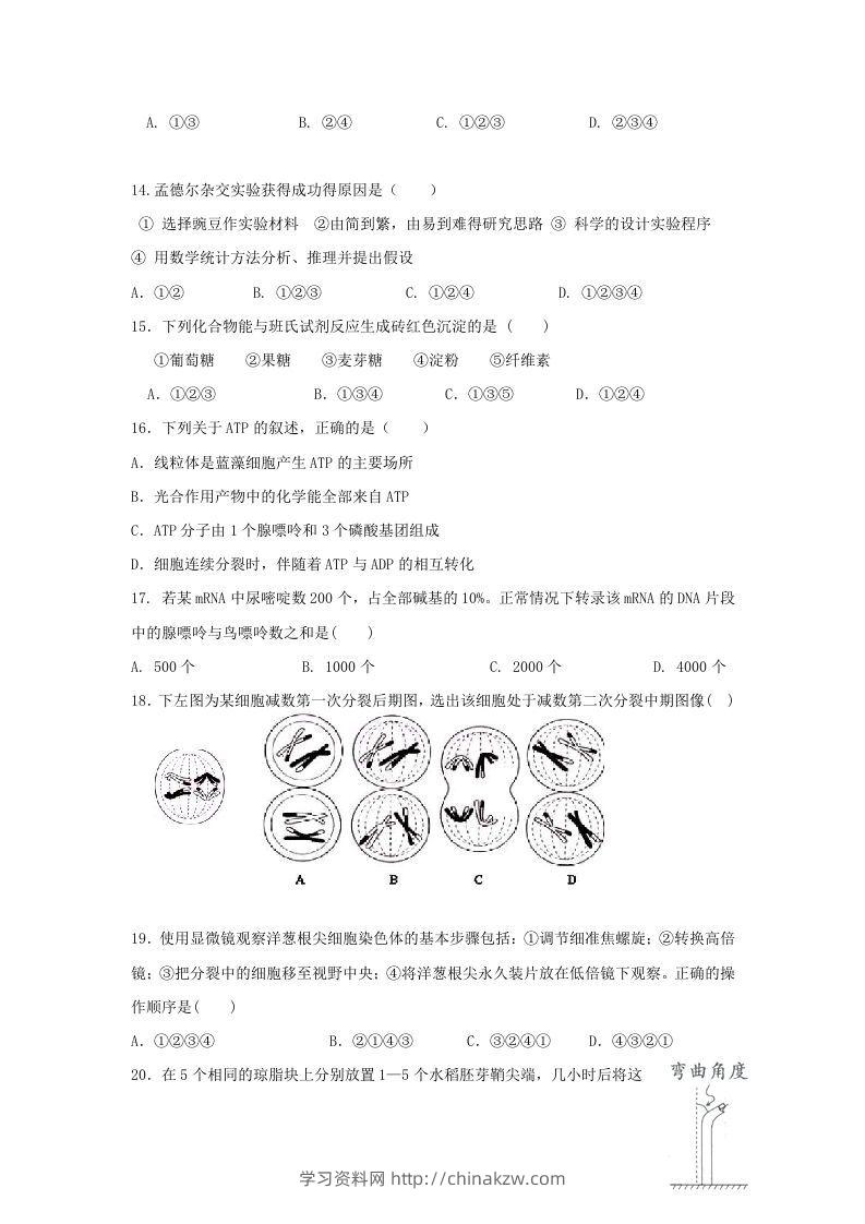 图片[3]-2010年上海高三部分重点中学二次联考生物真题及答案(Word版)-学习资料站