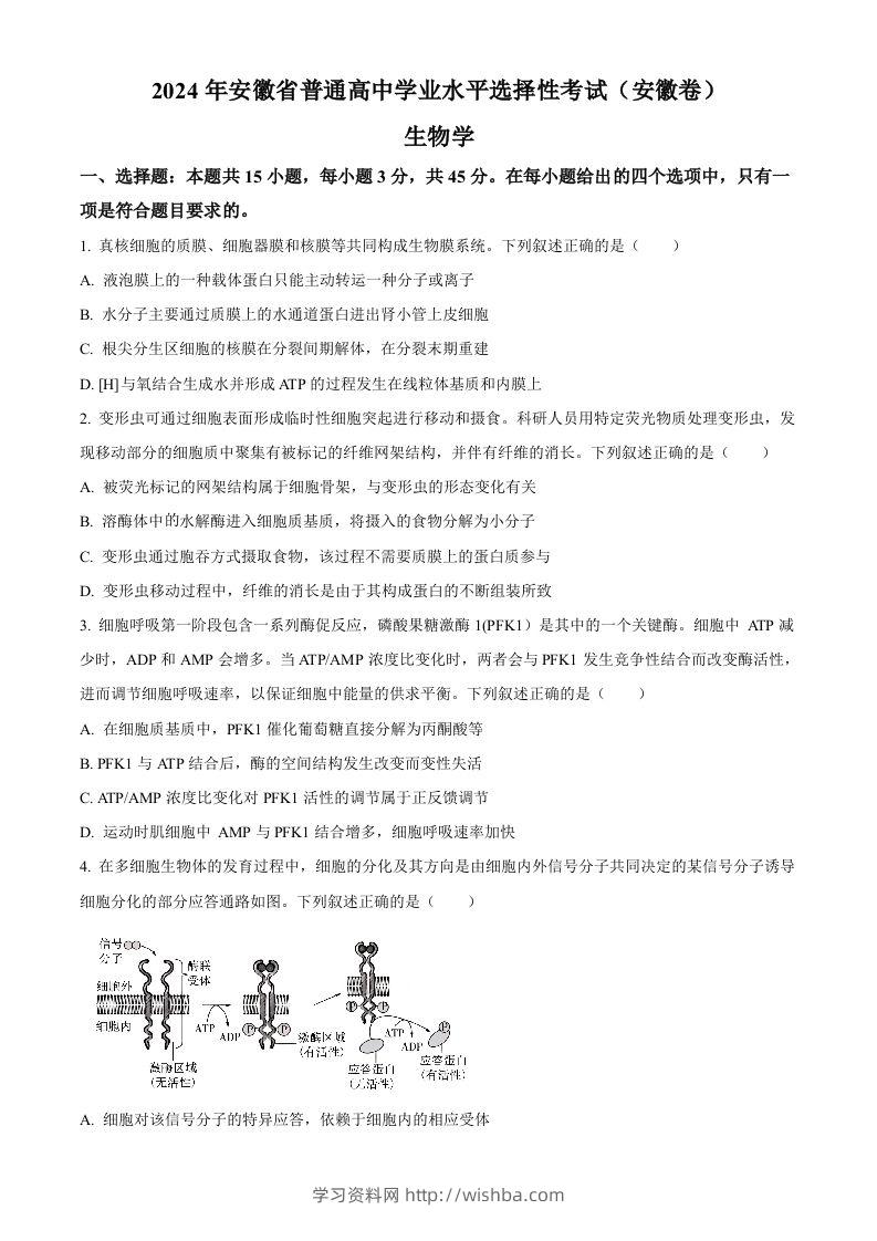 2024年高考生物试卷（安徽）（空白卷）-学习资料站